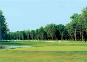 Buffalo Golf Courses